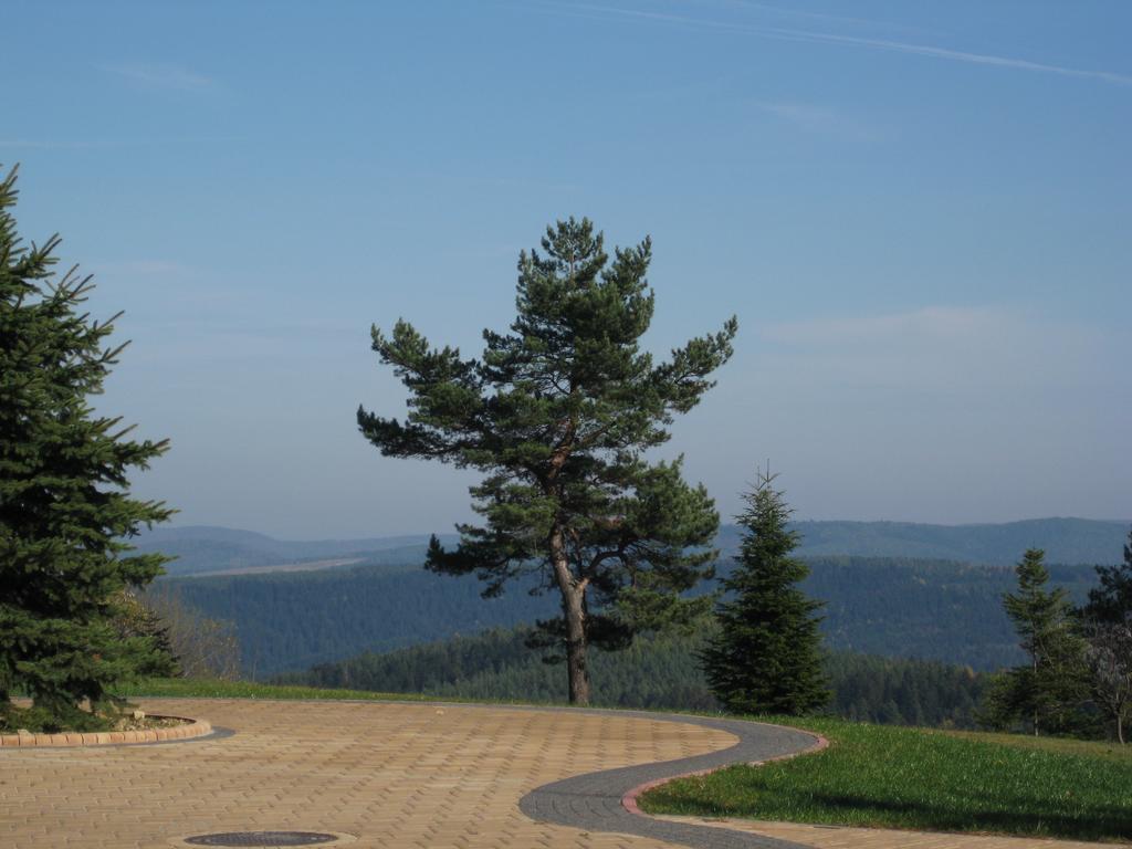 Pensjonat Orle Krynica Zdroj Exterior photo